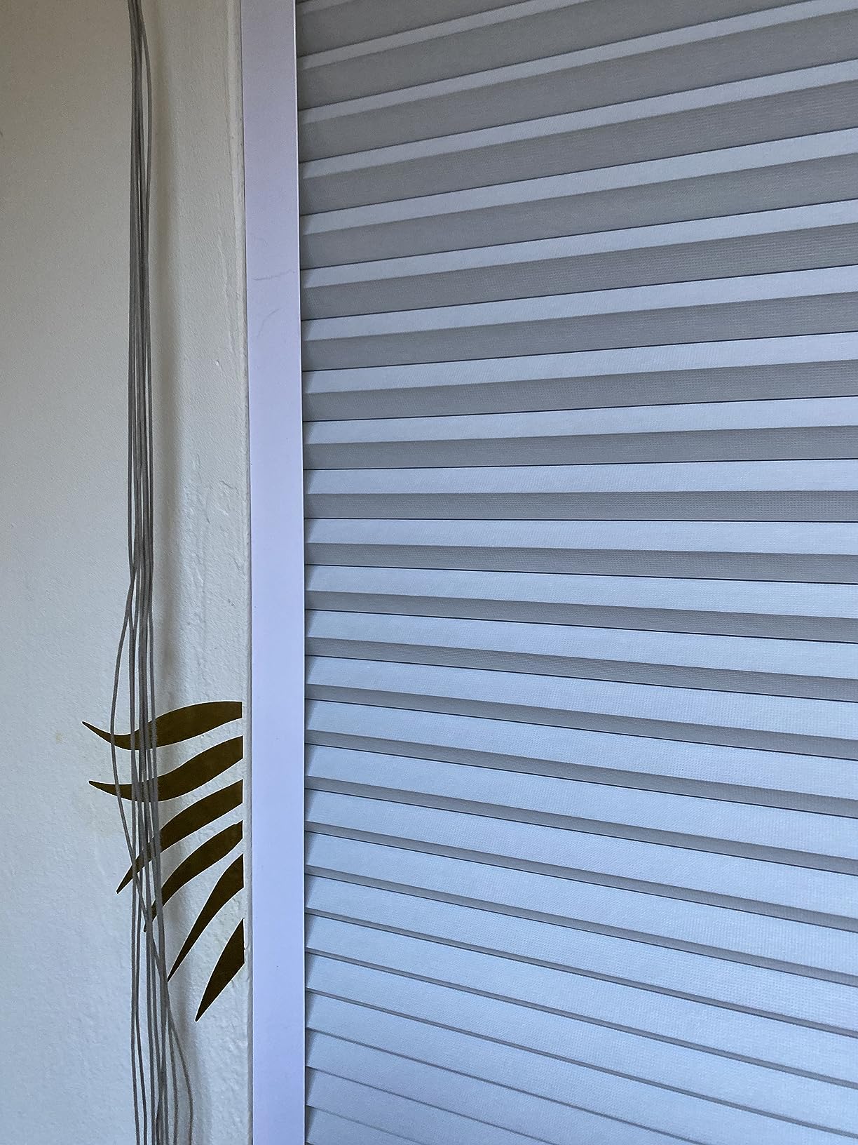 Changshade Cordless Cellular Shades, Blackout Room Darkening Black Out Honeycomb Blinds for Indoor Windows Bedroom, Pull Down Pleated Accordion Blind Easy Install, Shade Size 36