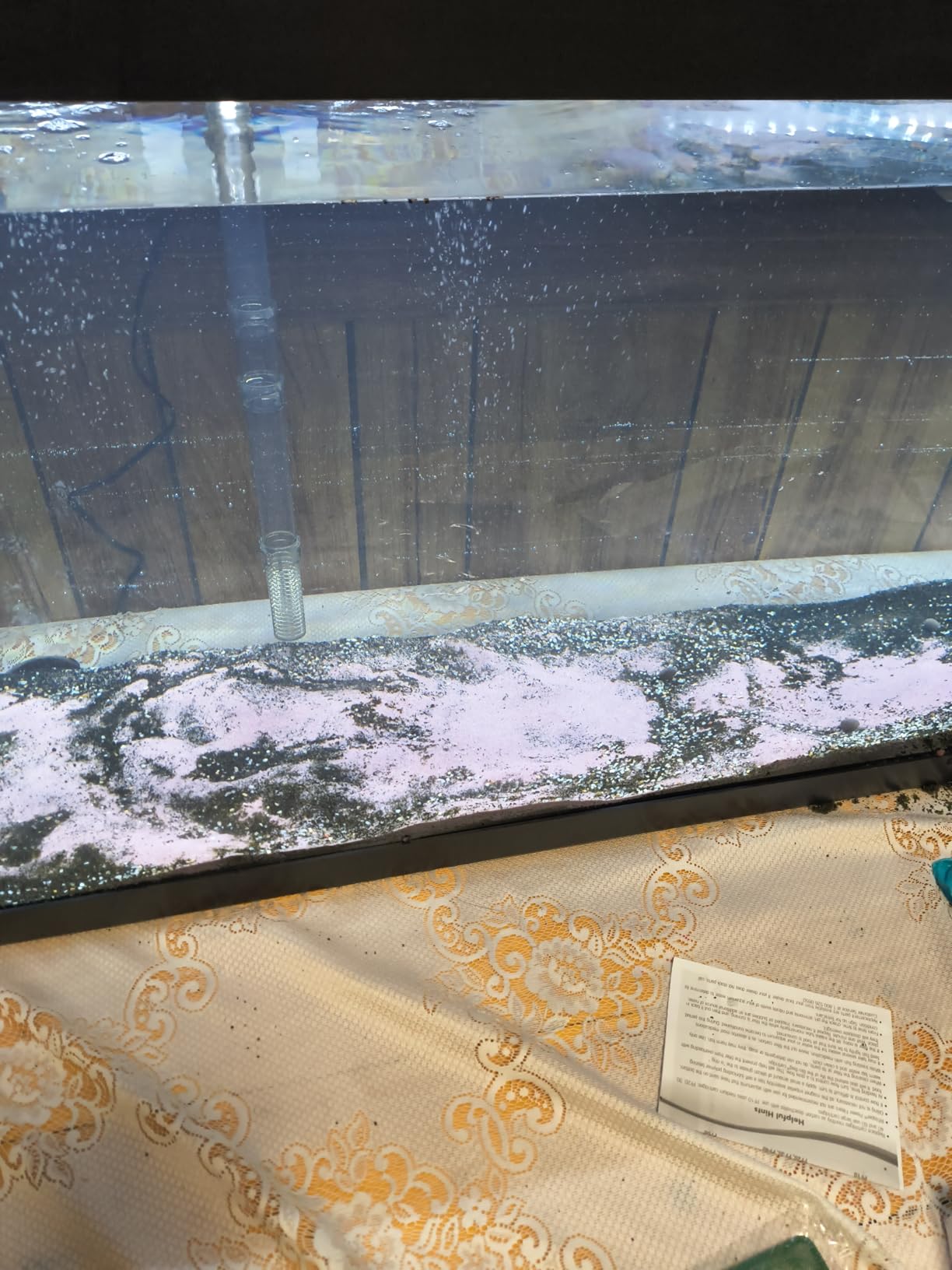 Tetra LED 10 Gallon Complete Fish Tank Kit customer photo 1