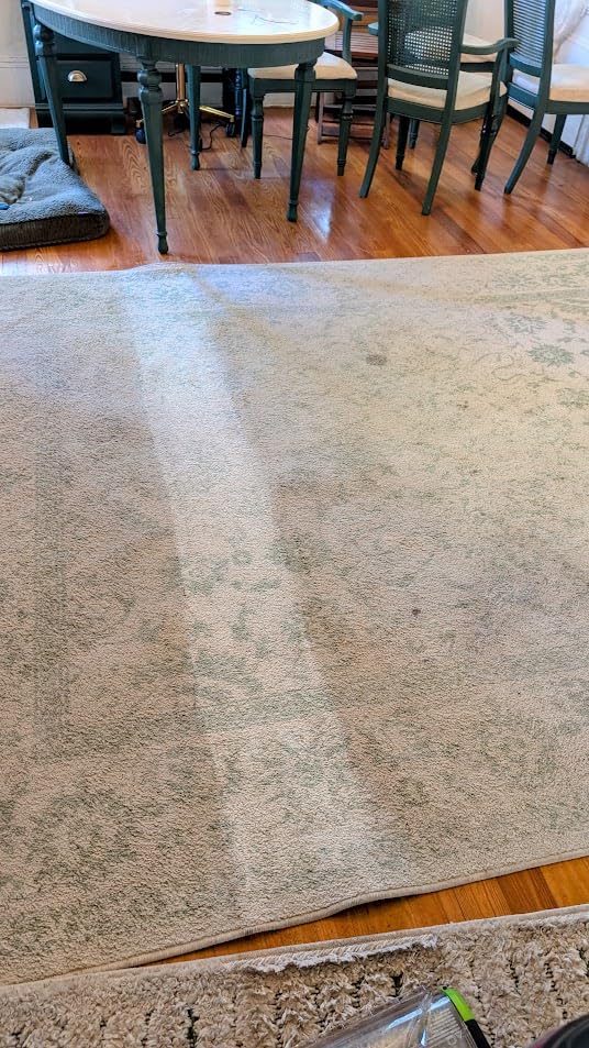BISSELL ProHeat 2X Revolution Pet Pro Plus, 3588F, Upright Deep Cleaner customer photo 1