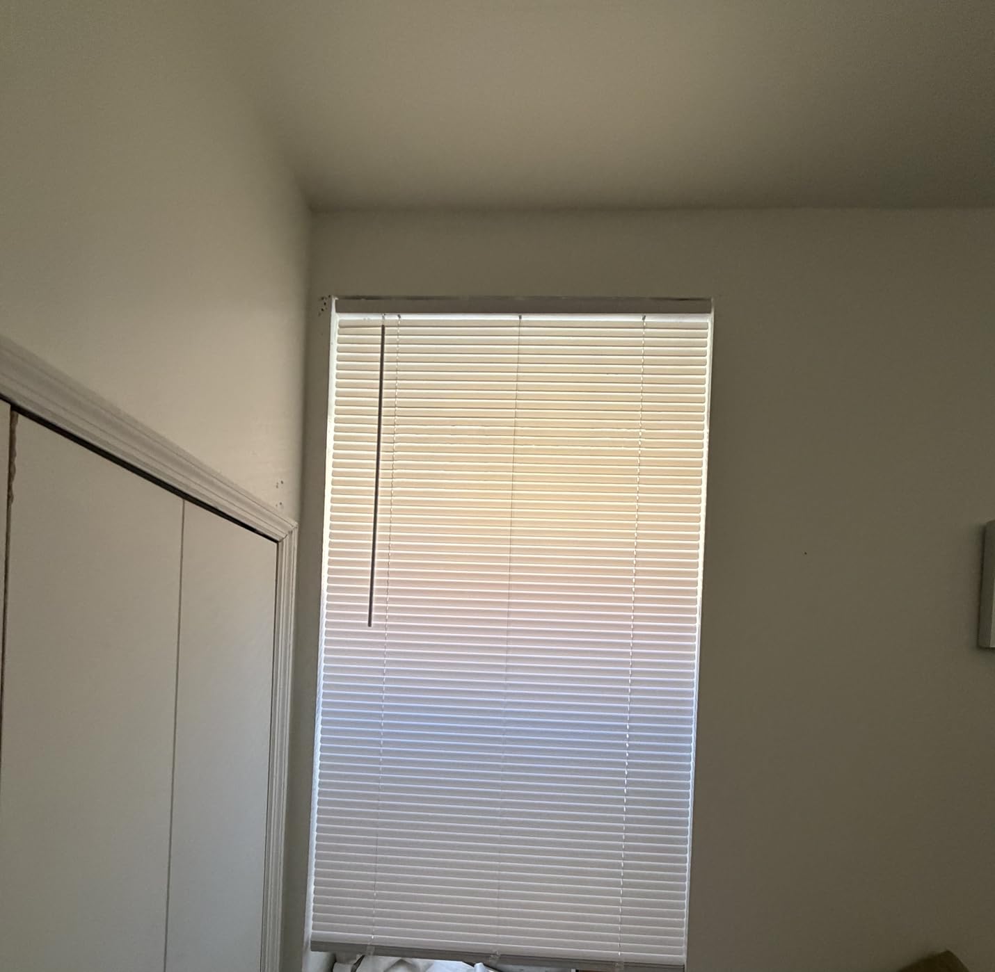CHICOLOGY Cordless Mini Blinds for Indoor Windows, 39.5