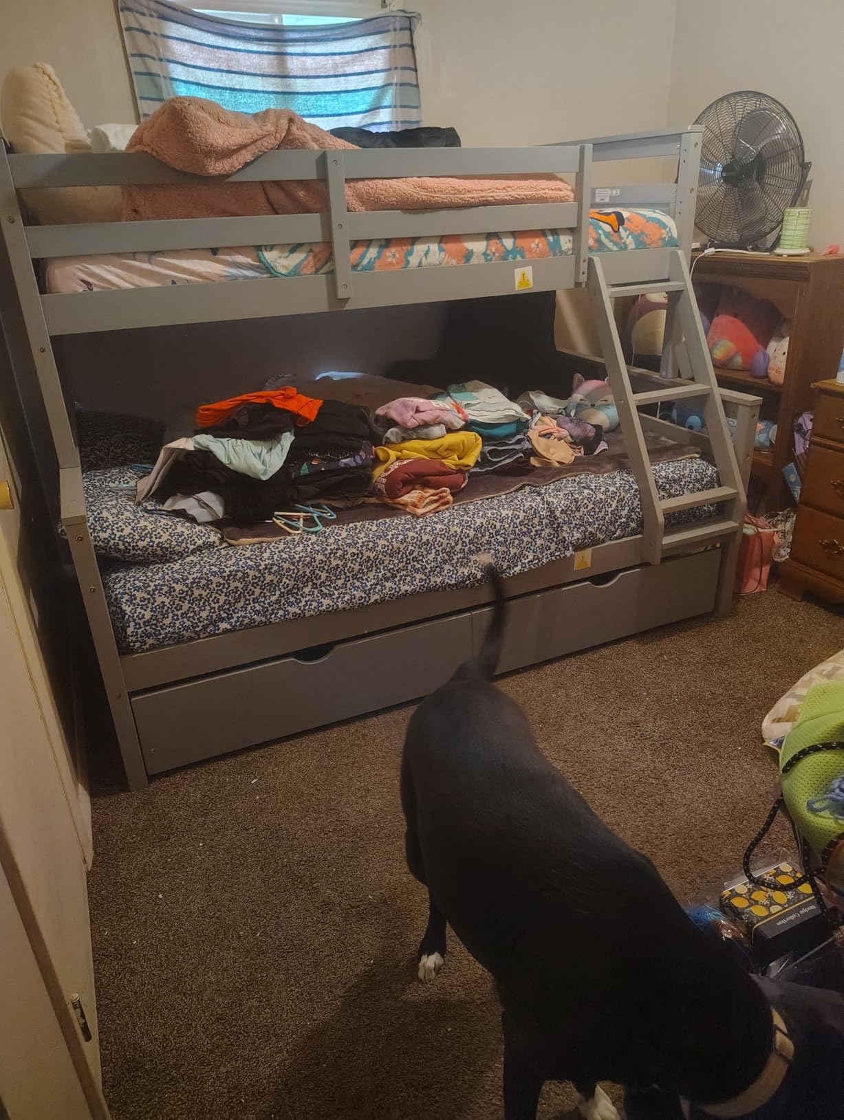 Merax Trundle Bunk Bed, Twin Over Full Wood Bunk Bed with Twin Size Trundle, Solid Wood Bunk Bed Frame with Guardrail and Ladder, Grey customer photo 1