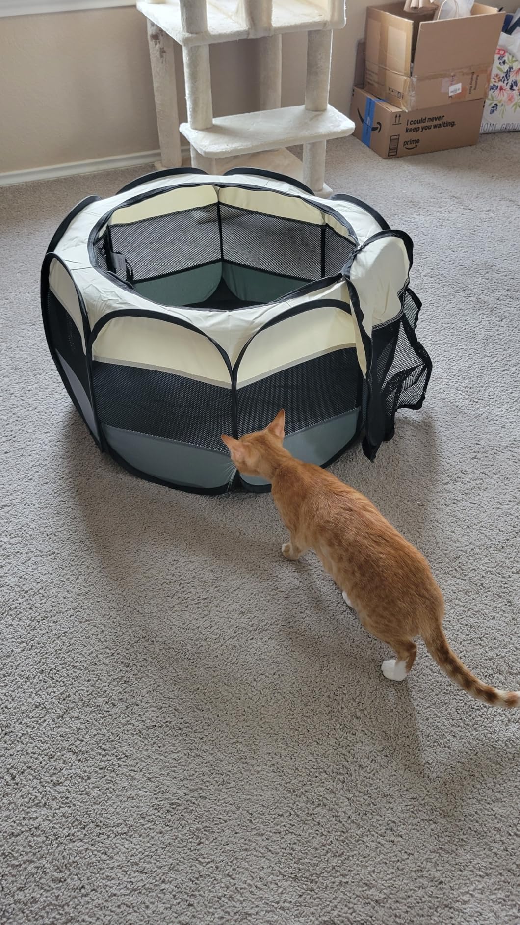 Love's cabin Pet Puppy Dog Playpen, Small Dog Tent Crates Cage Indoor/Outdoor, Portable Playpen for Cat, Foldable Pop Up Dog Kennel Playpen with Carring Case, Removable Zipper Top, Grey customer photo 1