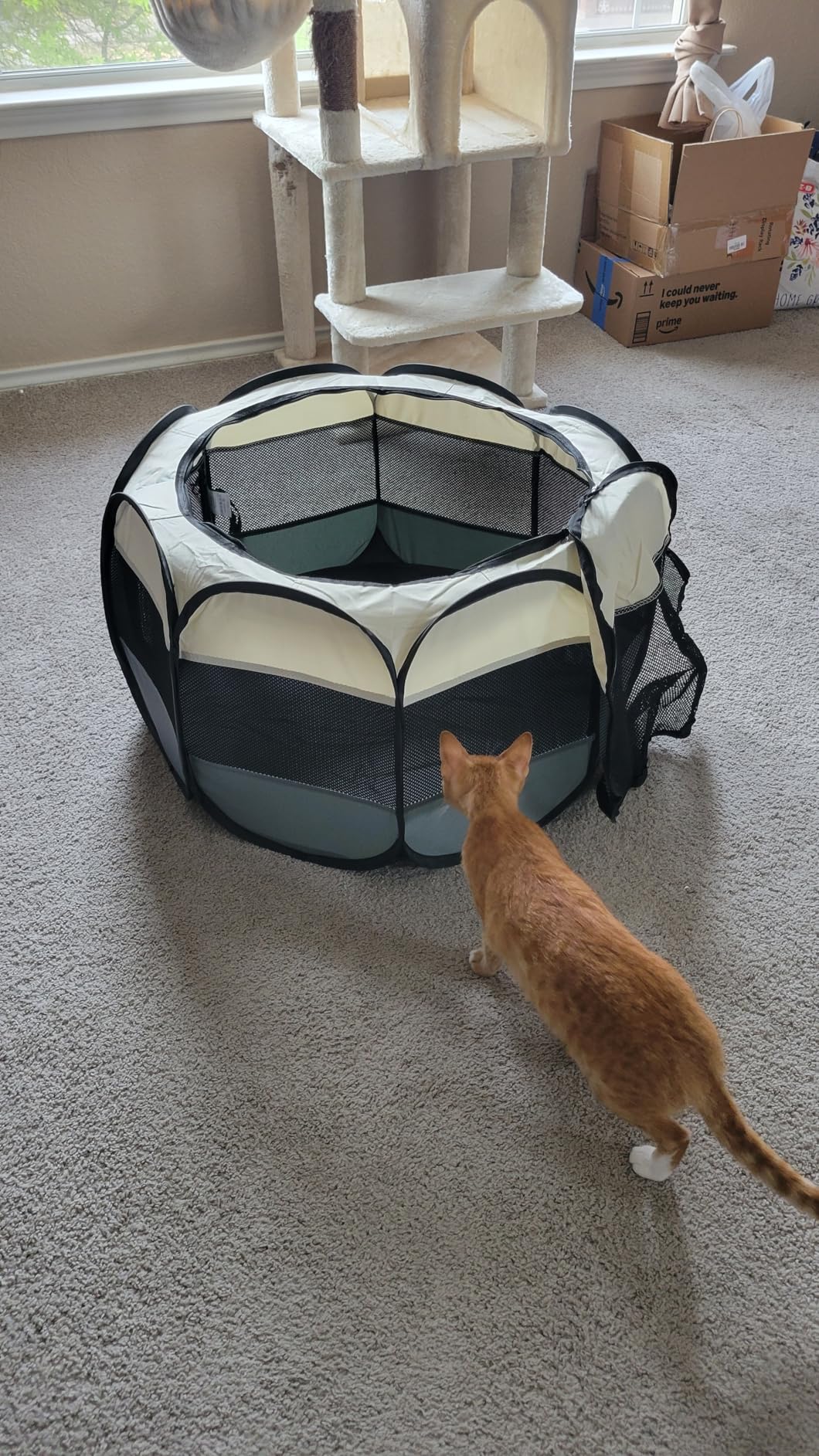 Love's cabin Pet Puppy Dog Playpen, Small Dog Tent Crates Cage Indoor/Outdoor, Portable Playpen for Cat, Foldable Pop Up Dog Kennel Playpen with Carring Case, Removable Zipper Top, Grey customer photo 2