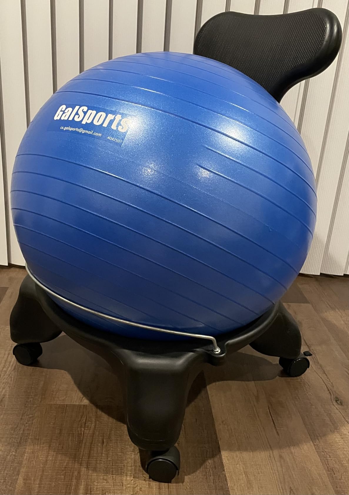 GalSports Stability Ball for Core Training & Physical Therapy - Anti-Burst, Slip-Resistant Yoga Ball for Home Gym, Pilates, Balance & Posture Improvement customer photo 1