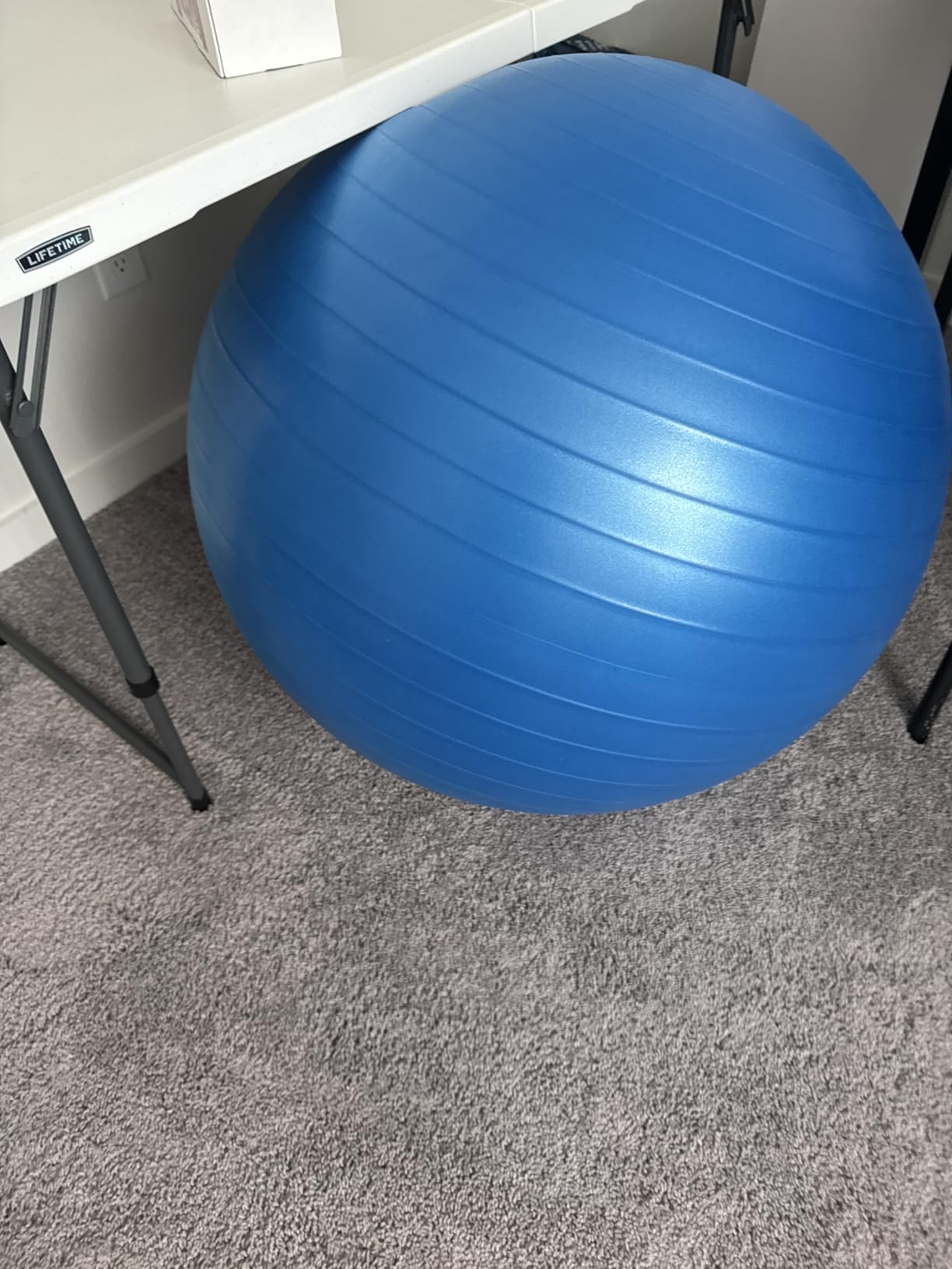 GalSports Stability Ball for Core Training & Physical Therapy - Anti-Burst, Slip-Resistant Yoga Ball for Home Gym, Pilates, Balance & Posture Improvement customer photo 2