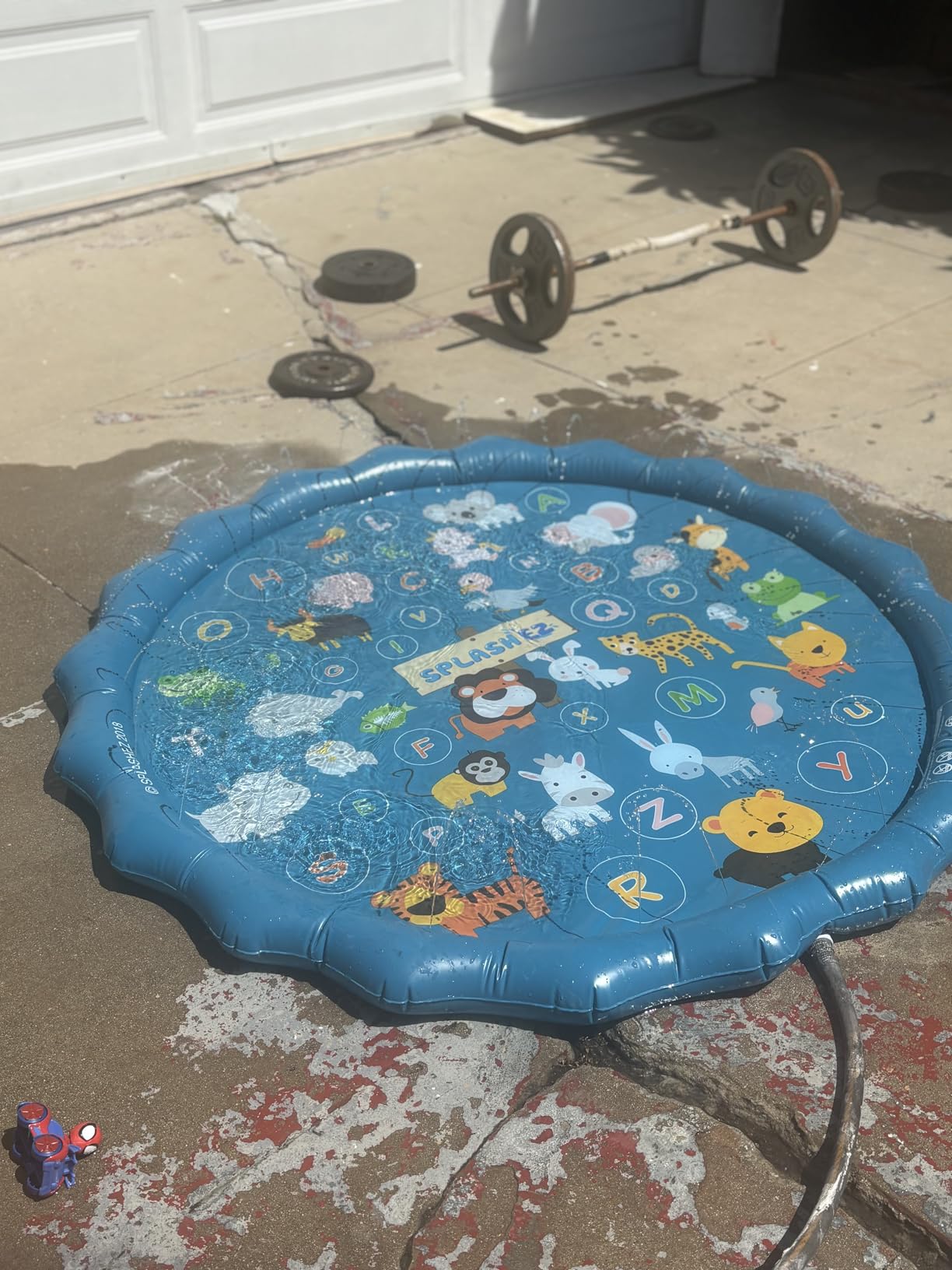 SplashEZ Non Slip Splash Pad for Kids & Dogs, 69
