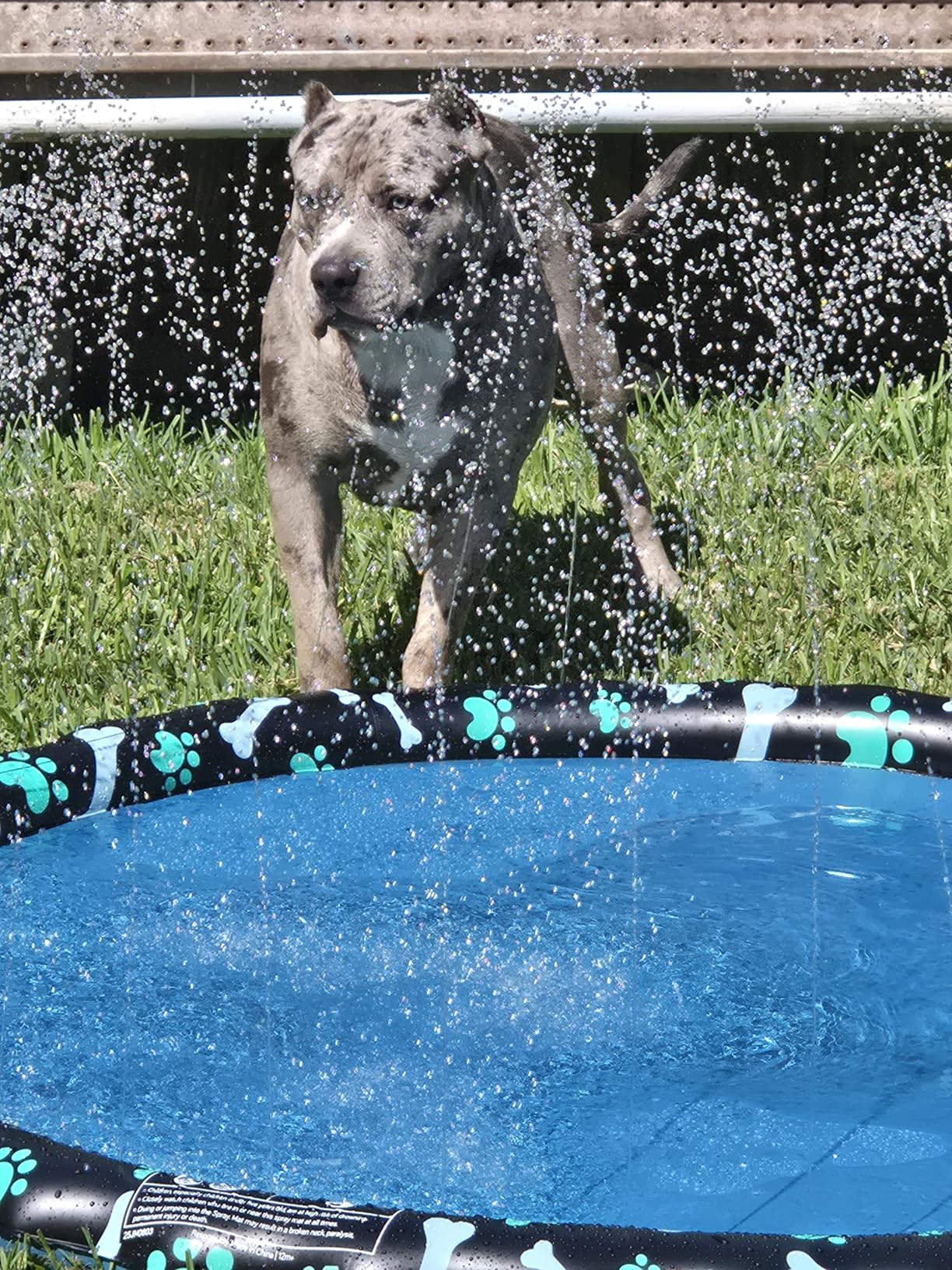 SplashEZ Non Slip Splash Pad for Kids & Dogs, 69