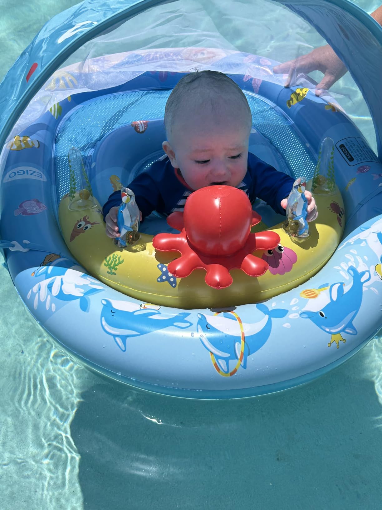 EZIGO Baby Pool Float with Canopy UPF50+ Sun Protection, Inflatable Kids Pool Floats with Ocean Animal Toys for Baby 6-36 Months, Infant Swimming Float with Adjustable Safety Seat for Boys Girls customer photo 2