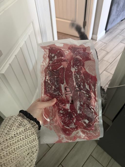 Mesliese Vacuum Sealer Machine Powerful 90Kpa Precision 6-in-1 Compact Food Preservation System with Cutter, 2 Bag Rolls & 5 Pre-cut Bags, Widened 12mm Sealing Strip, Dry&Moist Modes (Silver) customer photo 2
