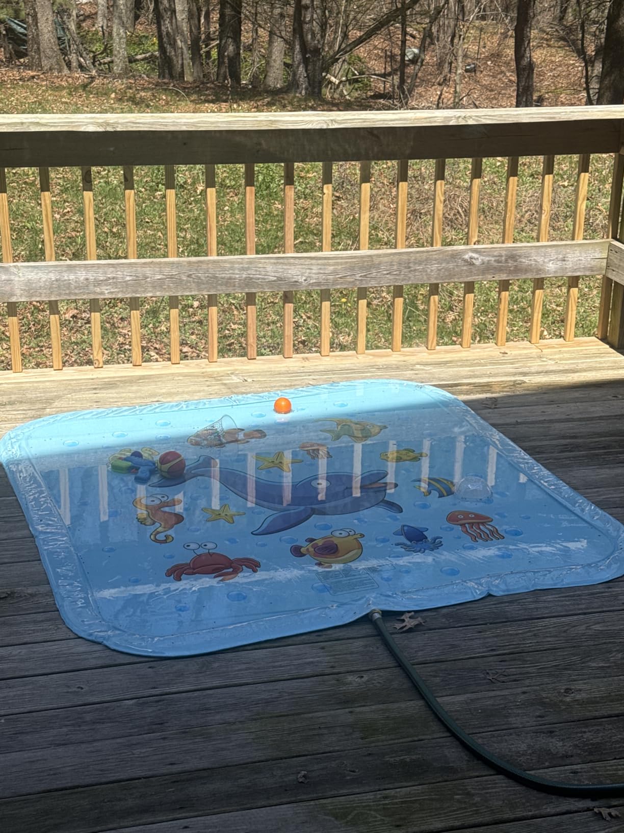 Growsland Non Slip Splash Pad for Kids and Dogs, 87