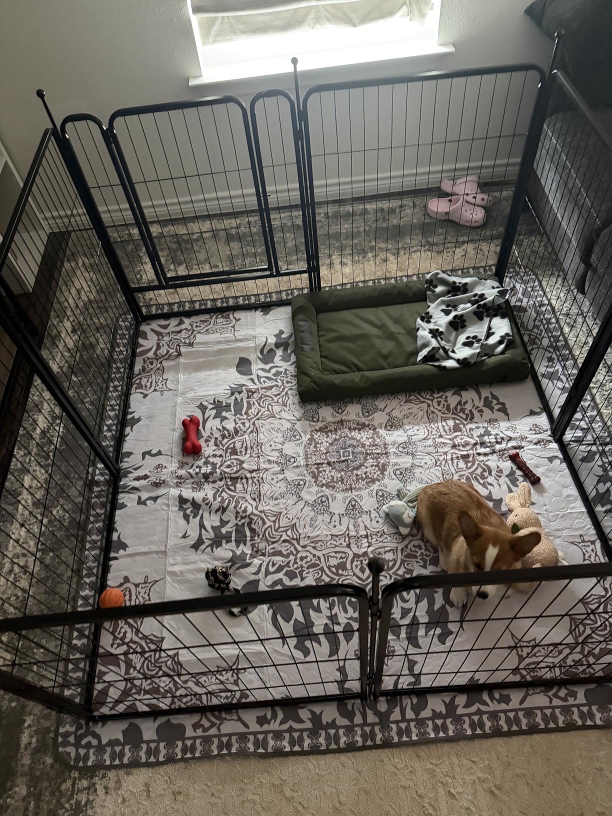 FXW Rollick Dog Playpen, Indoor, Yard & RV Camping, 24