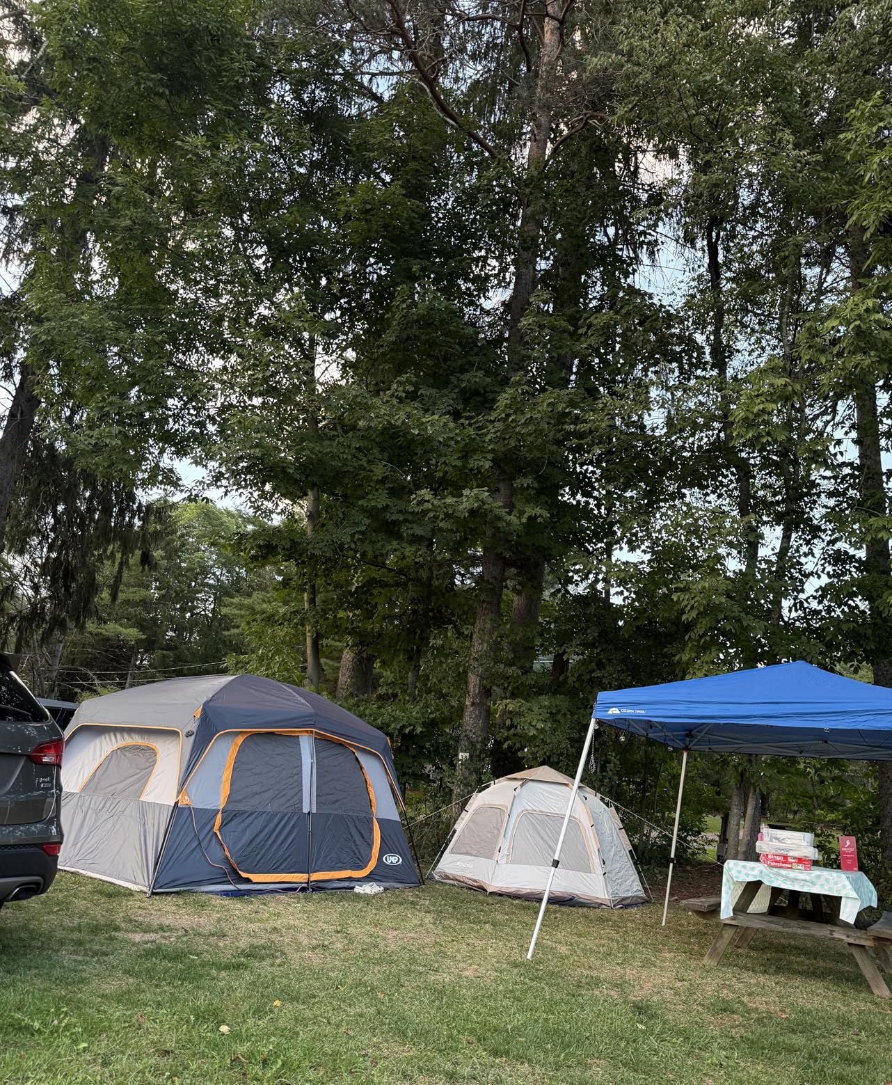 UNP 2/4/6/8 Person Tent, Portable Cabin Tent, Camping Tent 4-Person Easy Set Up, Waterproof with Top Rainfly for Outdoor Camping/Hiking customer photo 1