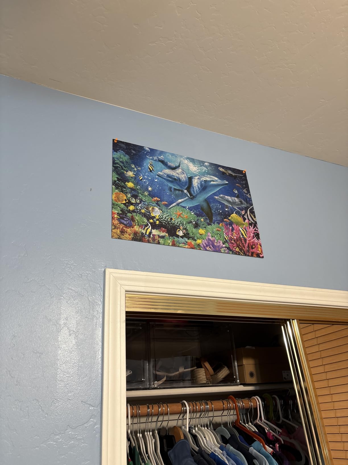 Nattork Jigsaw Puzzles 1000 Pieces for Adults, Families (Sea World) Pieces Fit Together Perfectly customer photo 2