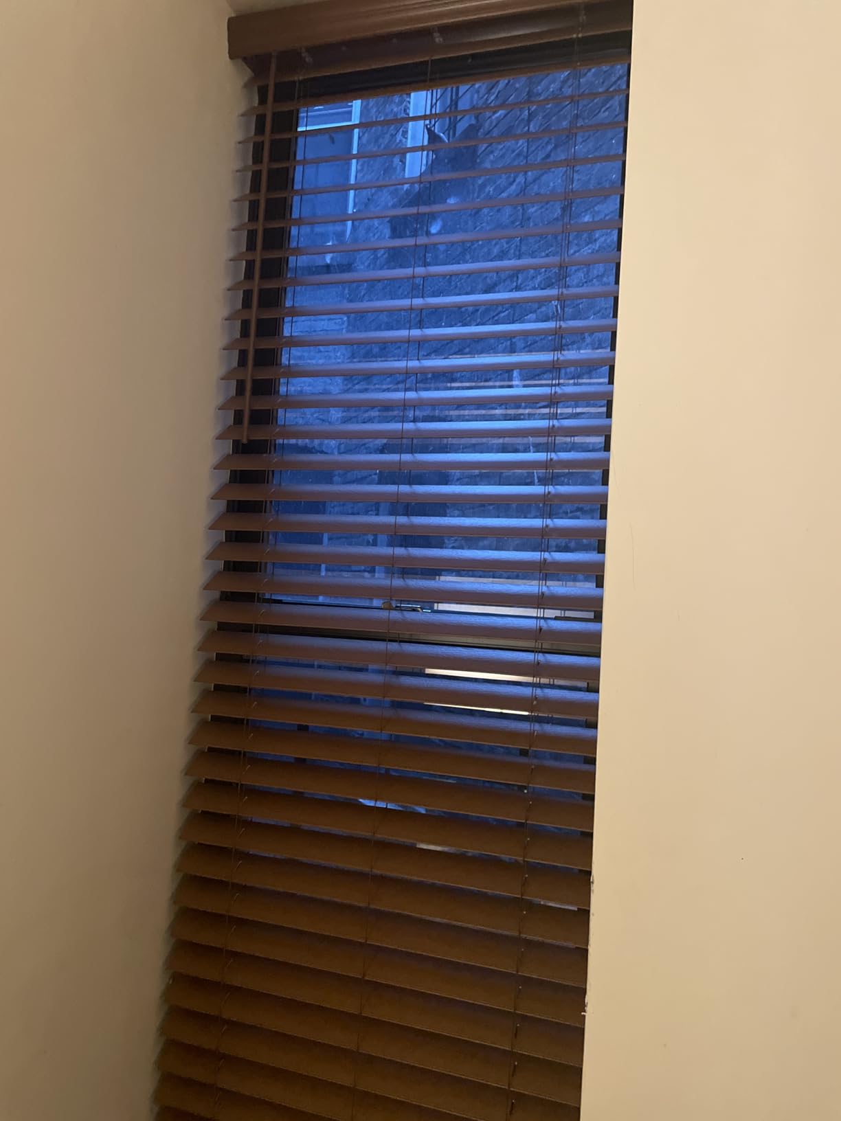 Eclipse 2in. Faux Wood Blinds, 21