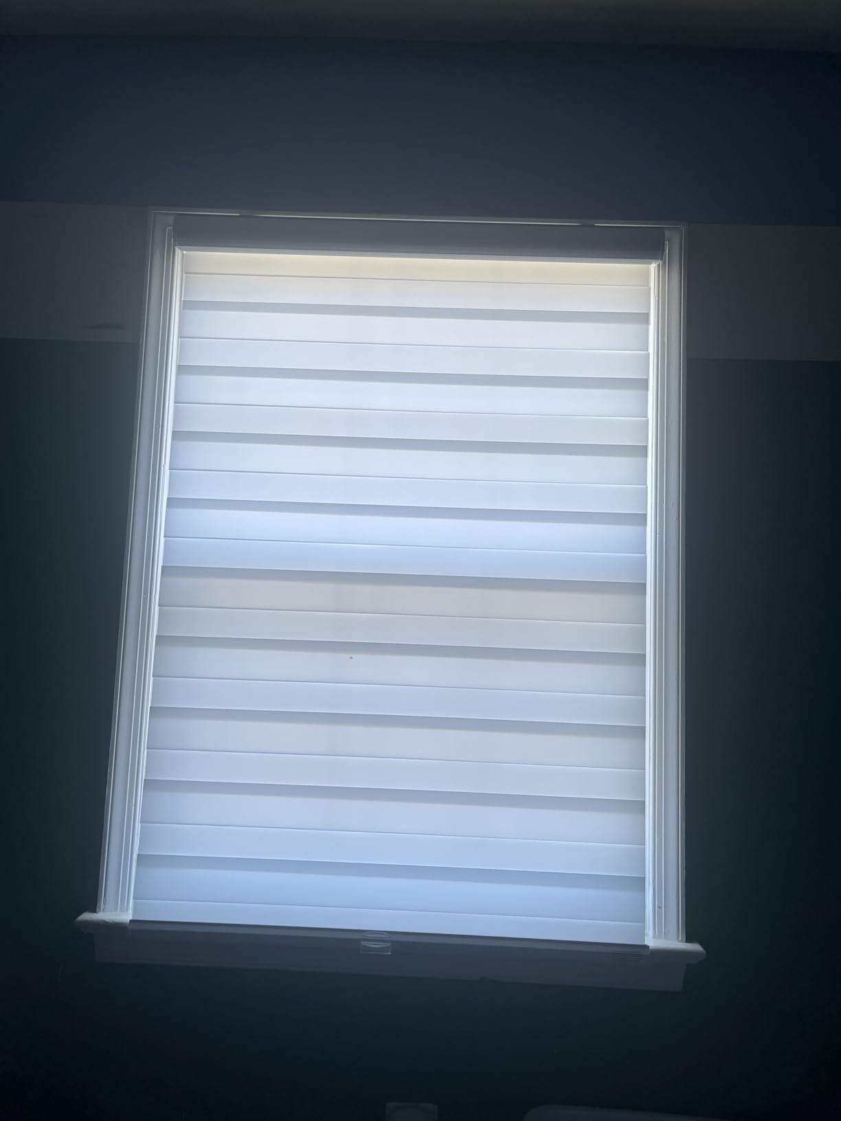 Persilux Cordless Zebra Blinds for Windows, Roller Shades for Windows (34.5