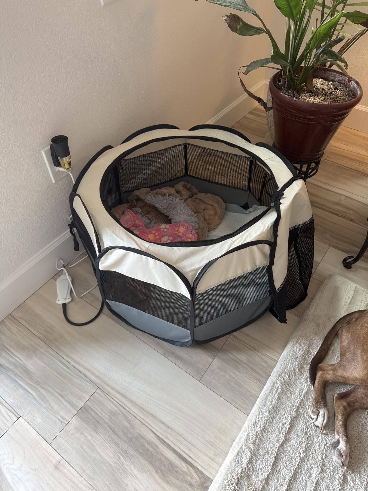Siedihit Dog Cat Playpen, Puppy Pet Playpen Indoor for Small Dog Crate Tent Cage Outdoor, Portable Pop Up Dogs Enclosure Kennel with Carrying Case for Dogs/Cats/Rabbits(Grey, Small customer photo 1