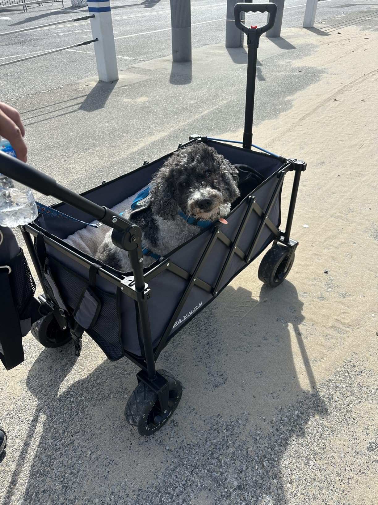 3 in 1 Collapsible Wagon with 300lbs Weight Capacity, 150L Heavy Duty Utility Cart with Removable Canopy, with Big All-Terrain Beach Wheels & Drink Holders, Gray customer photo 1