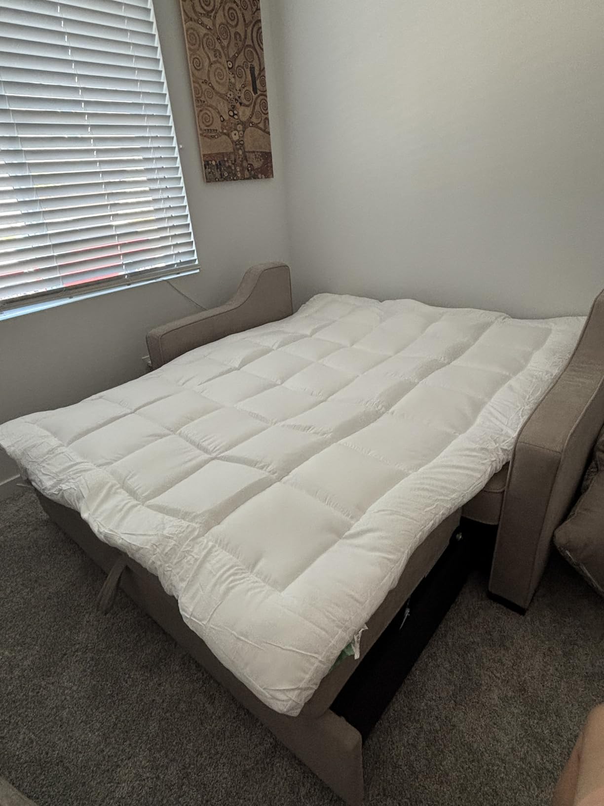 Ultra Soft Twin Mattress Topper - Cloud-Like Mattress Pad for Full Back Support - Breathable Cooling Material for Hot Sleepers, White customer photo 1