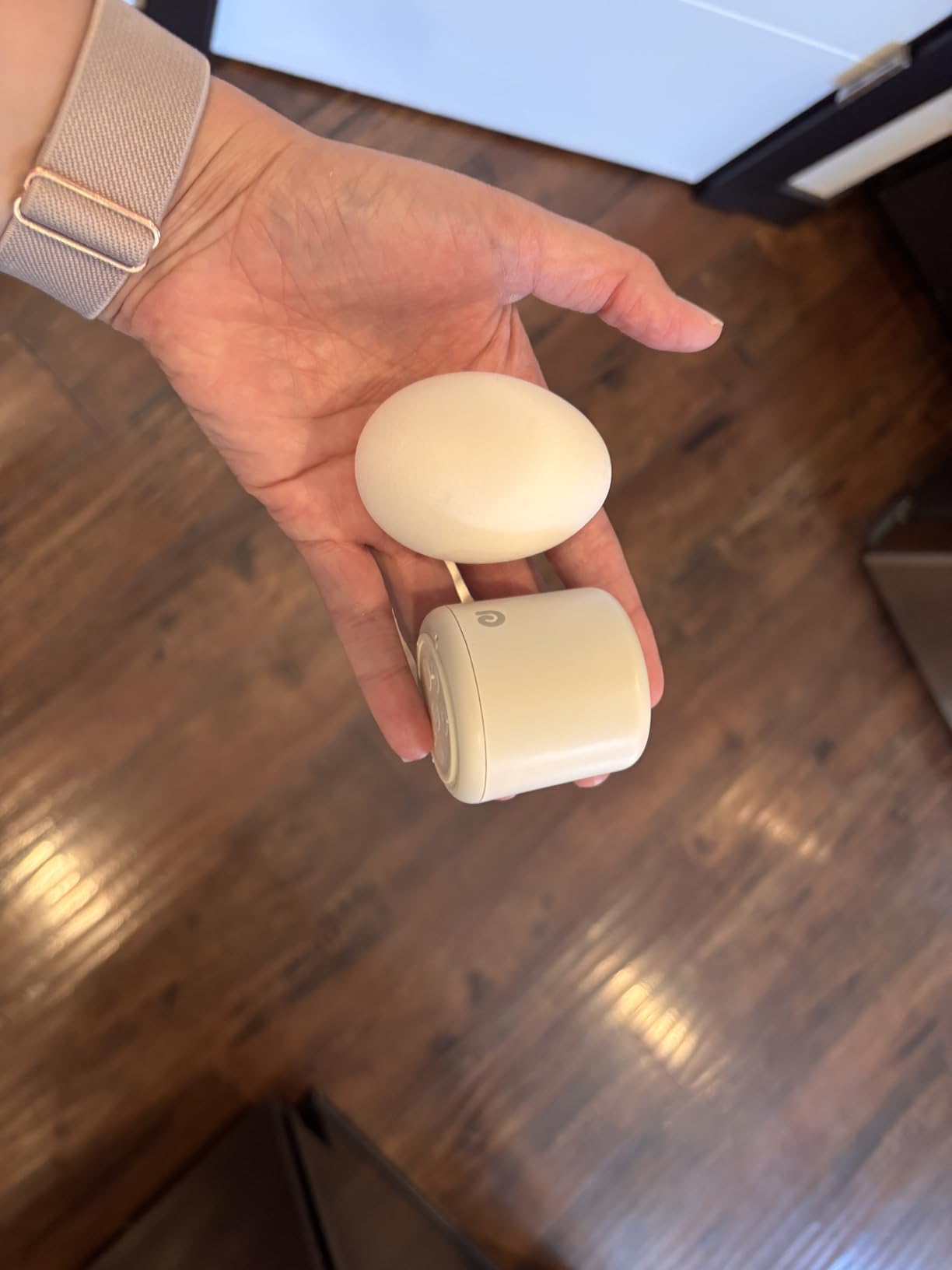 Dreamegg Portable Travel White Noise Machine for Sleep, Features Powerful Battery, Egg-Sized, 16 Nature Sounds, Timer, for Baby Adults Office Privacy Home Gift, Cream customer photo 2