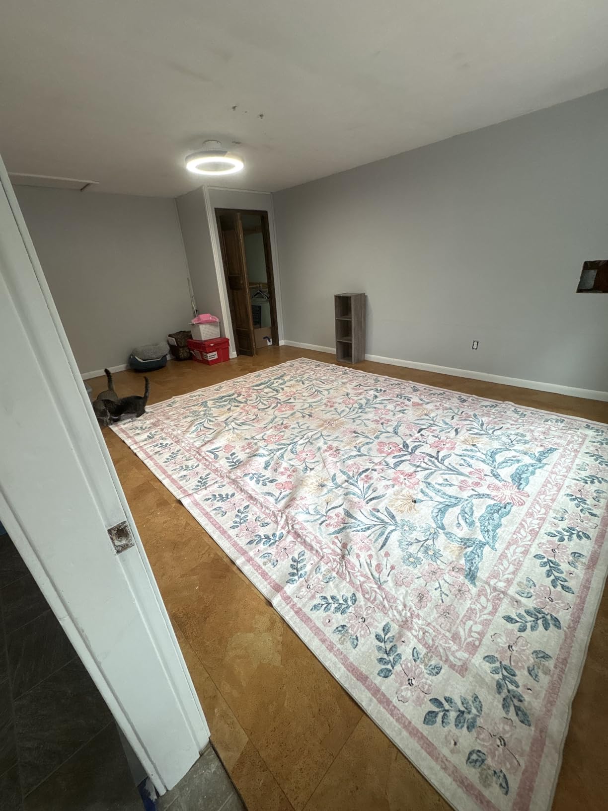 Wonnitar Pink Rugs for Nursery, 5x7 Washable Rug for Bedroom Girls, Boho Soft Floral Carpet Non Slip, Indoor Ultra-Thin Floor Carpet for Baby Kids Room Living Room Dorm Decor customer photo 2