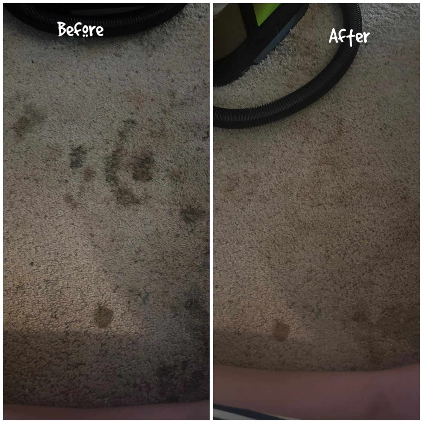 BISSELL Little Green Max Pet SmartMix Portable Carpet and Upholstery Deep Cleaner, 38572 customer photo 1