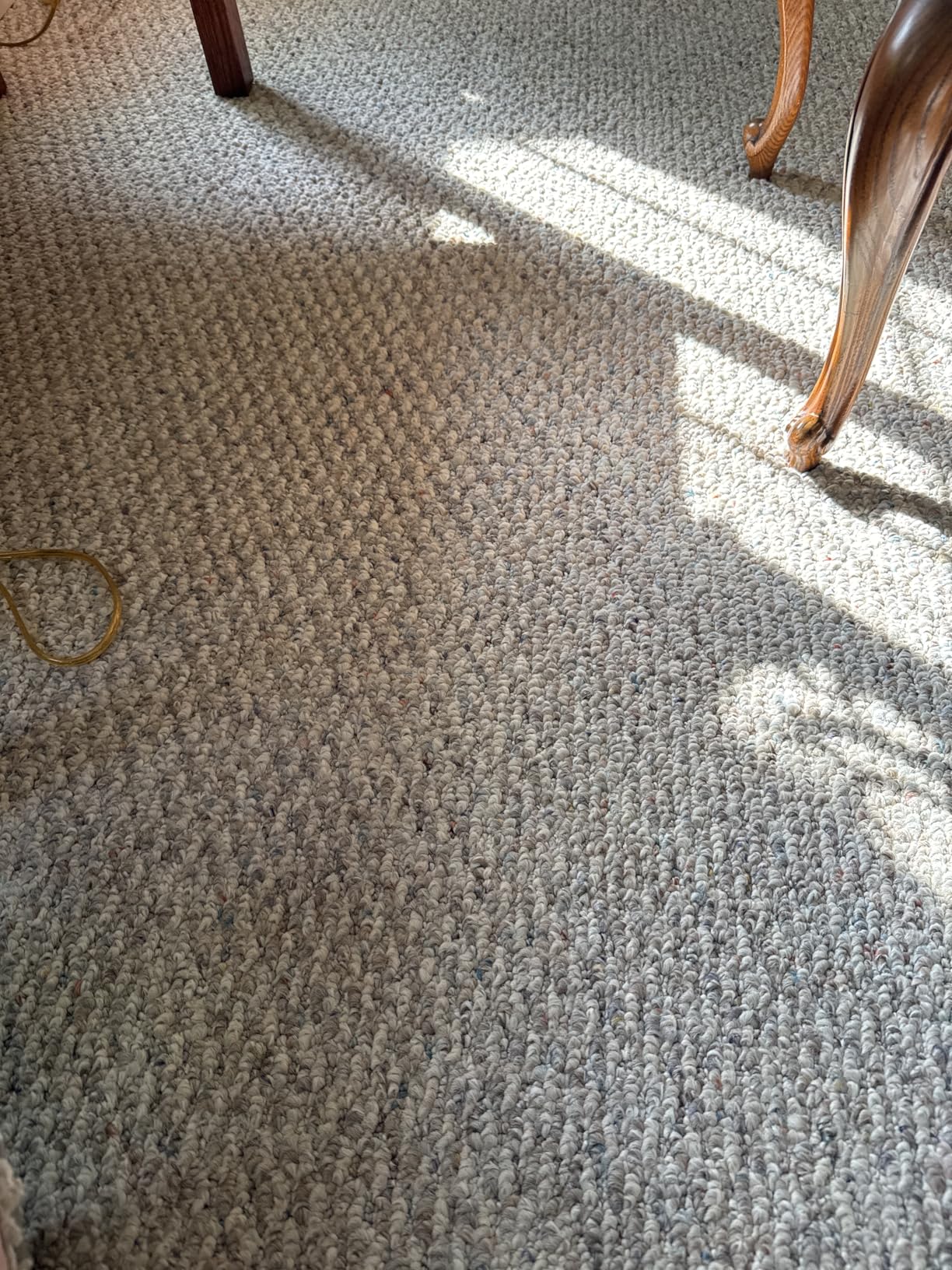 Shark CarpetXpert HairPro Upright Carpet, Area Rug & Upholstery Cleaner, StainStriker, Pet Hair Pickup, EX301 customer photo 2