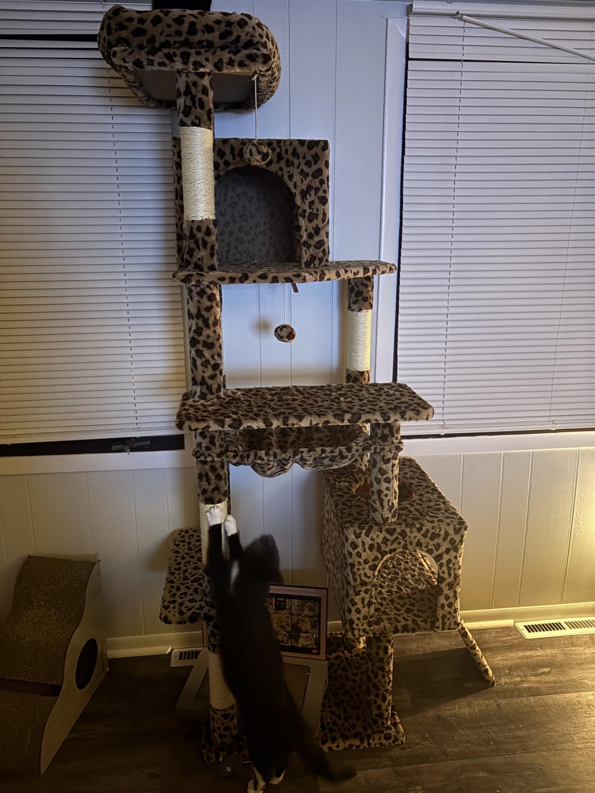 Globlazer Heavy Duty Cat Tree, 70 inch Sturdy Cat Tree for Indoor Cats Extra Large Cat Tower with Scratching Post, Hammock, Cat Condo for Adult Cats Kittens, F70 Pro, Light Grey customer photo 2