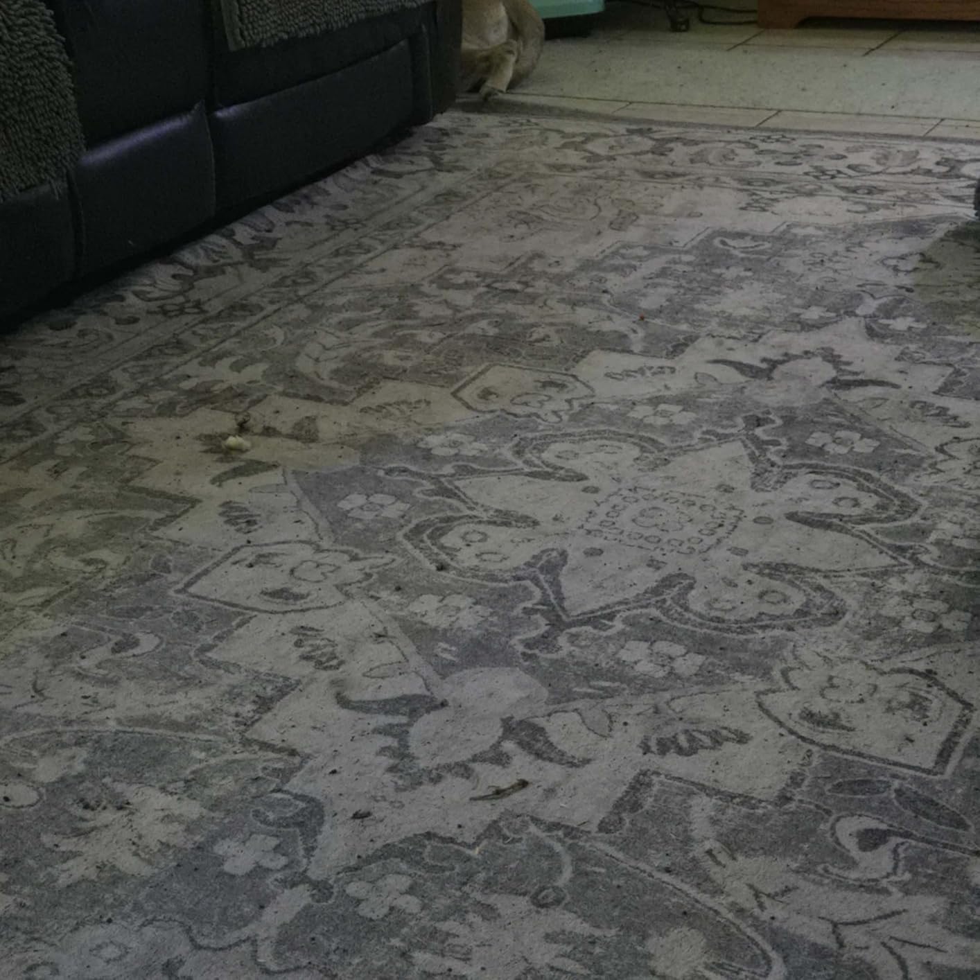 Lessymo 8 x 10 Area Rugs for Living Room- Machine Washable Area Rugs Boho Faux Wool Low Pile Area Rug for Bedroom, Floral Medallion Vintage Rugs with Non-Slip Rubber, Kid & Pet Friendly, Grey White customer photo 1