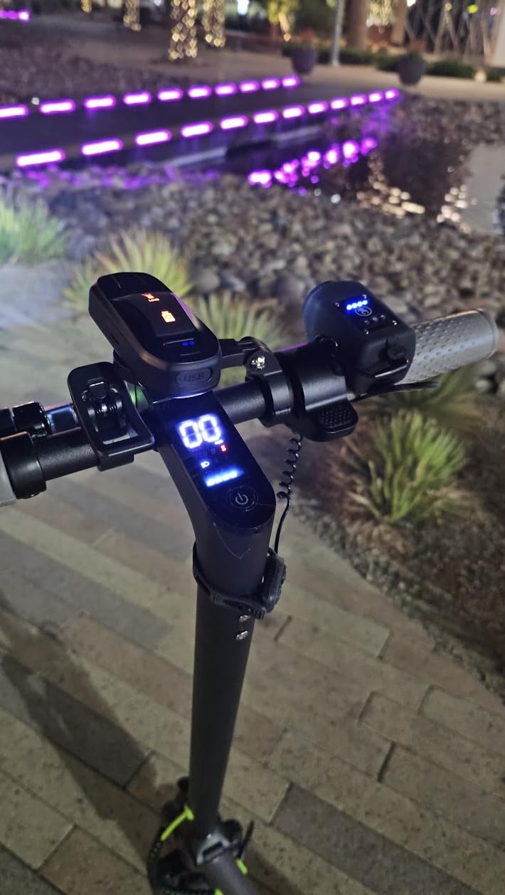 Roinside Electric Scooter- 8.5