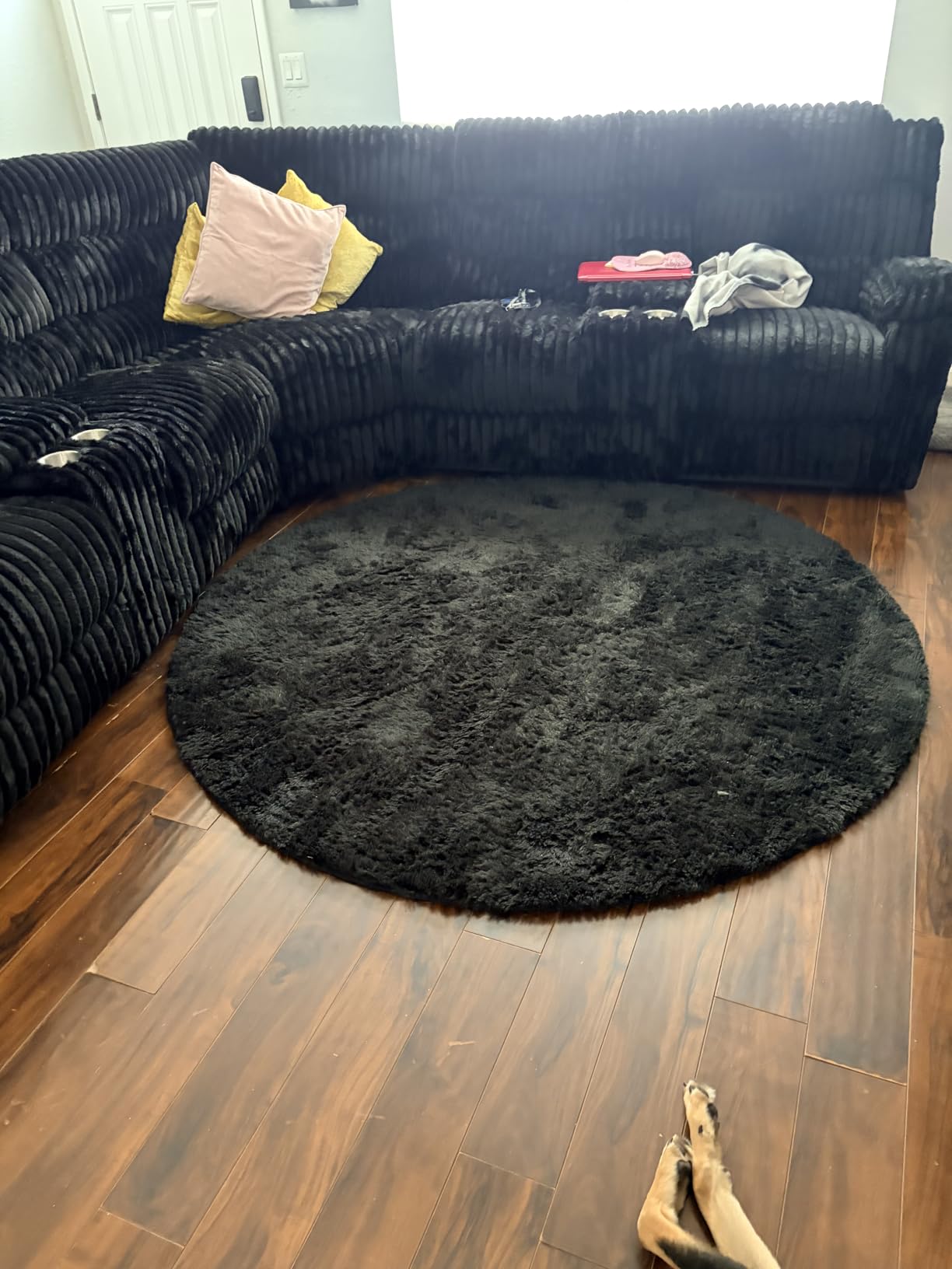 Ophanie Round Rugs 5Ft Ivory Circle Area Rug Washable, Nursery Living Room Decor Aesthetic Bedroom Home Circular Carpet 5 Foot, Fluffy Fuzzy Shag Plush Cream Rugs for Kids Boys Girls Teen Baby customer photo 1
