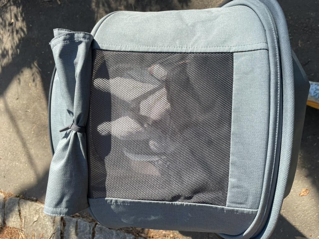Nuna Minu V3 Travel Stroller | Lightweight + Compact Design | One-Hand Fold + Unfold | from Birth + Overhead Compatible | Dillan (Stone Blue/Carbon Frame/Sand Leather) customer photo 2