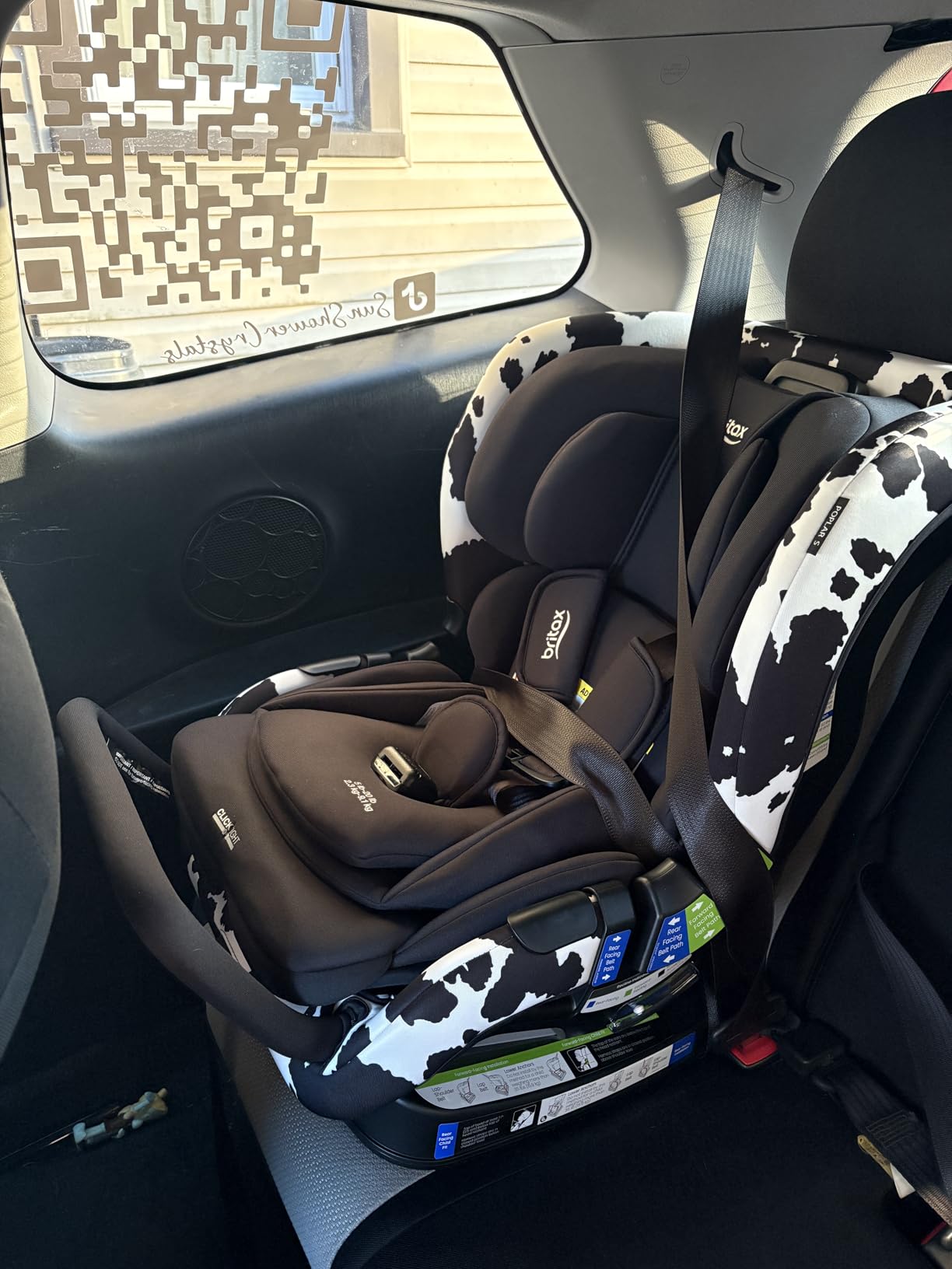 Britax Poplar Convertible Car Seat, 2-in-1 Car Seat Extended Rear Facing Up to 50 lbs, 17