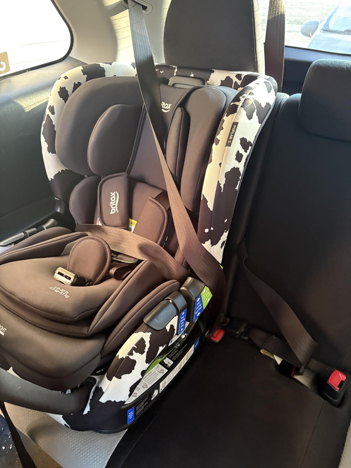 Britax Poplar S Convertible Car Seat, 2-in-1 Car Seat Extended Rear Facing, 17 inch Slim Car Seat Design with Fast and Easy ClickTight Installation, Anti-Rebound Bar and SafeWash Fabrics, Glacier Graphite customer photo 1