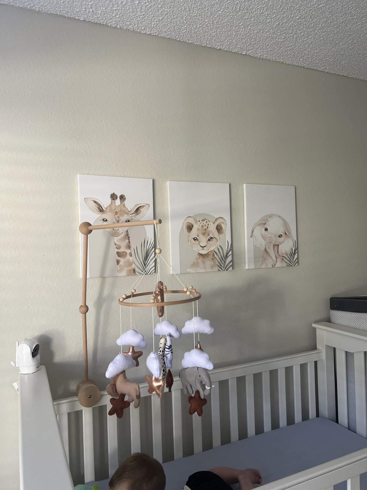 Nursery Wall Decor Set of 3, Cute Animal Lion Elephant Baby Pictures Poster Prints, Giraffe Jungle Canvas Wall Art Woodland Nursery Decor for Boys Girls Room Decoration 12x16 inch Framed customer photo 1