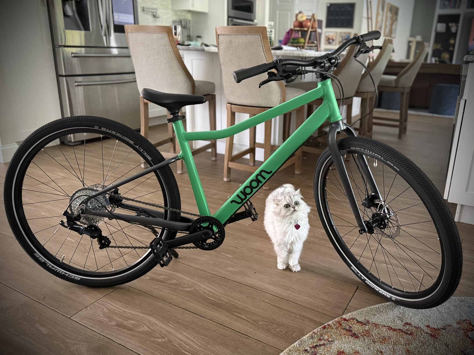 woom Explore Bicycle for Kids 6-14 Years Old, Road & Mountain Ready Bikes for Advanced Riders with Powerful Disc Brakes (24 Inch Wheels) customer photo 1