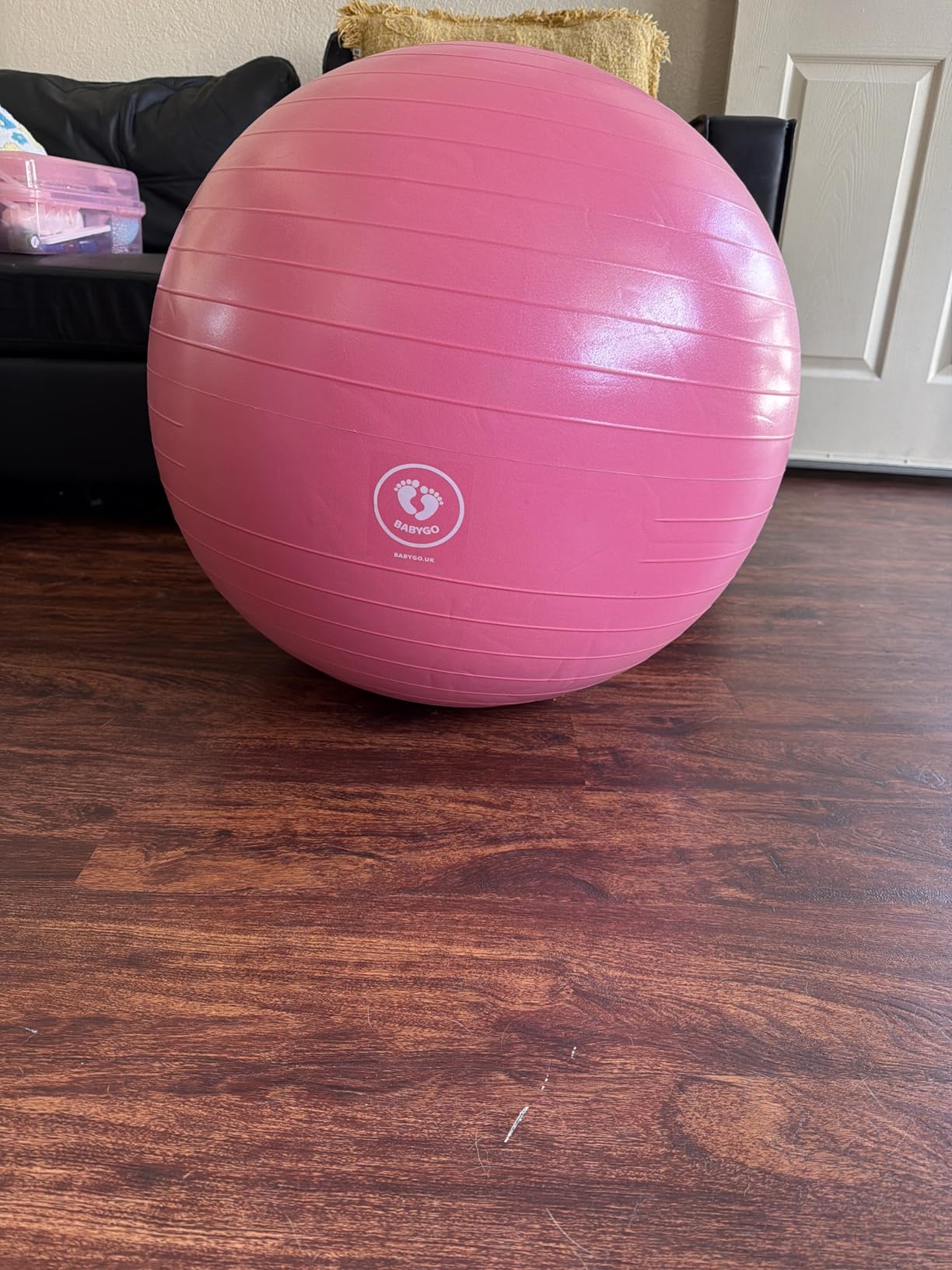 BABYGO Birthing Ball - Pregnancy Yoga Labor & Exercise Ball & Book Set Trimester Targeting, Maternity Physio, Birth & Recovery Plan Included Anti Burst Eco Friendly customer photo 2