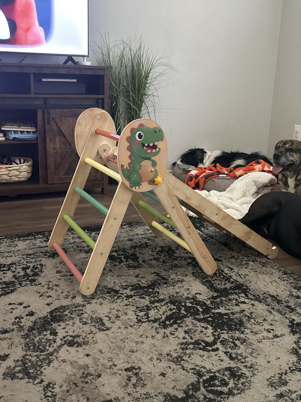 Acenova Pikler Triangle Climbing Set with Cushion and DIY Name Stickers, Montessori Wooden Climbing Gym for Toddlers, Indoor Jungle Gym, Dinosaur Pickler Triangle Arch Ramp Climber Toy customer photo 1