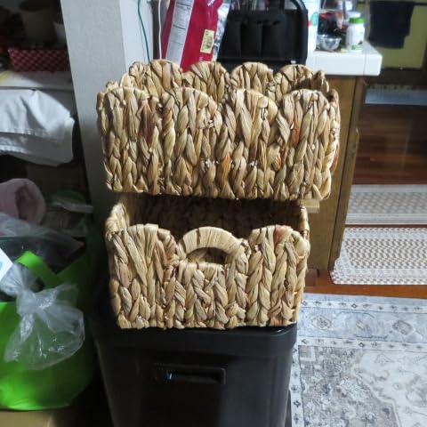 Scalloped Basket 2 Pack Wicker & Rattan Storage with Built-in Handles, Decorative Woven Seagrass Basket for Nursery & Bathroom Organization customer photo 1