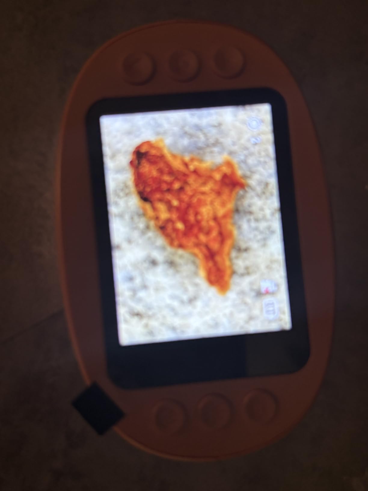 1000X Handheld Digital Microscope for Kids: Pocket Microscope with 2.0