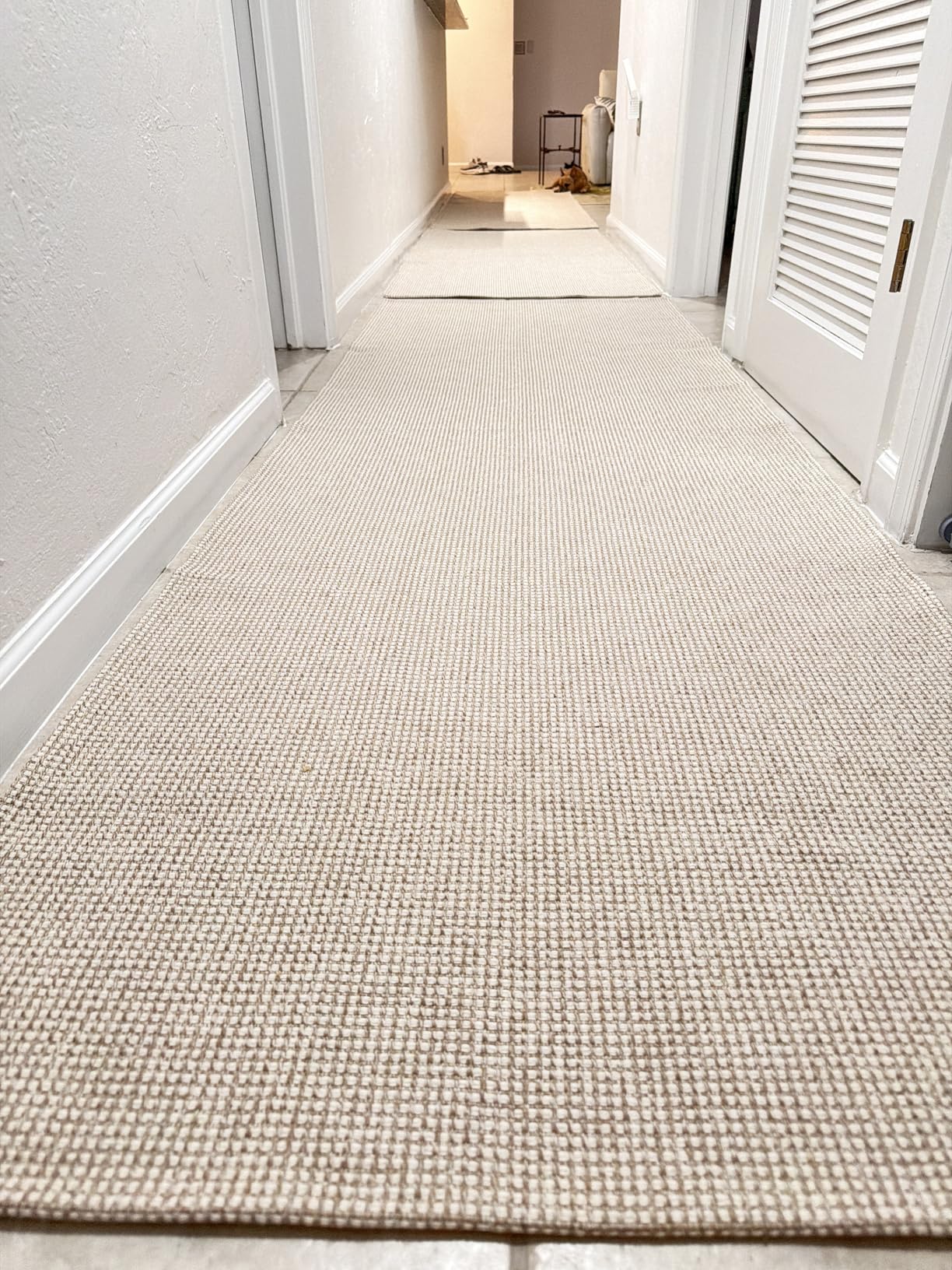 KOZYFLY Washable Area Rug 4x6 ft Non Slip Rubber Backed Living Room Rugs Braided Woven Cotton Kitchen Rugs Indoor Outdoor Entryway Rug for Dining Living Room Bedroom, Ivory/Camel/Brown customer photo 2