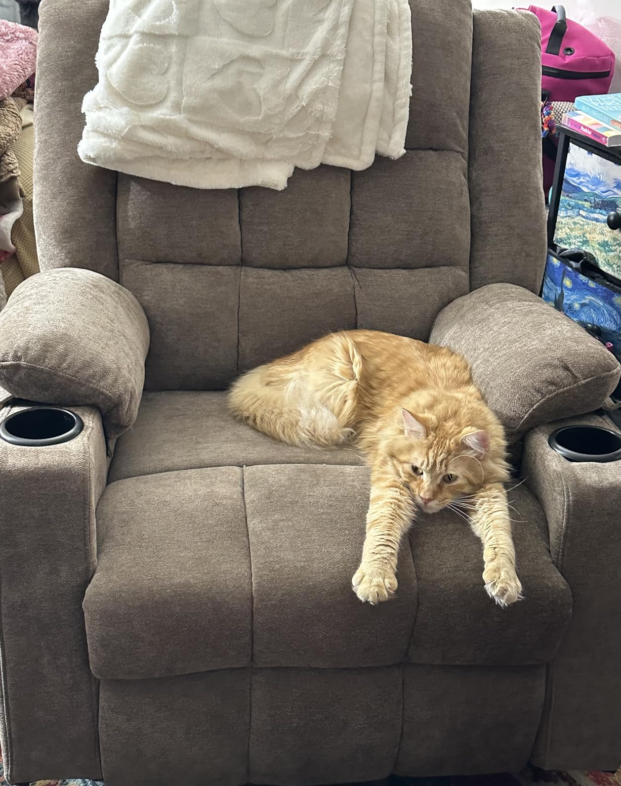 Ketaiyou Power Swivel Rocker Recliner Chair for Adults with Massage and Heat, USB and Type-C Ports, Infinite Position, Electric Glider Reclining Single Sofa Chair for Living Room (Coffee New) customer photo 1