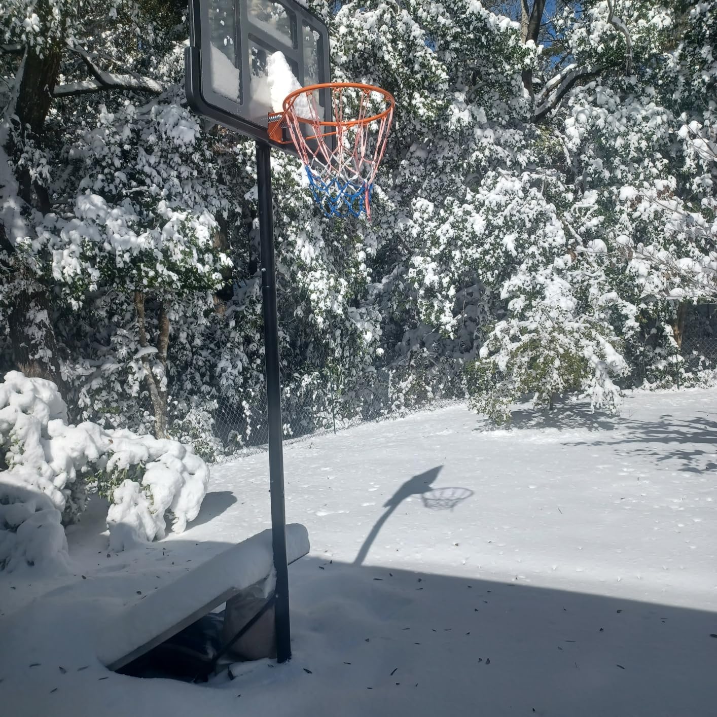IGL Portable Basketball Hoop, 5.6-10FT Adjustable Basketball Goal System, 40/44 Inch Outdoor Basketball Hoop & Goals for Kids, Youth, and Adults customer photo 2