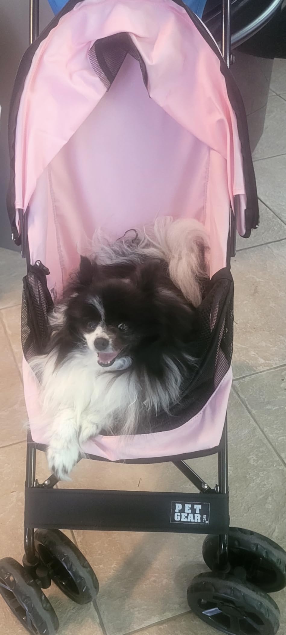 Pet Gear Travel Lite Plus Stroller, Himalayan Salt | For Cats and Dogs up to 15 Pounds, Compact Easy Fold, No Assembly Required, Large Wheels customer photo 1