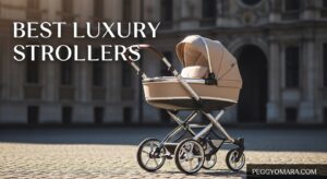 Best Luxury Strollers