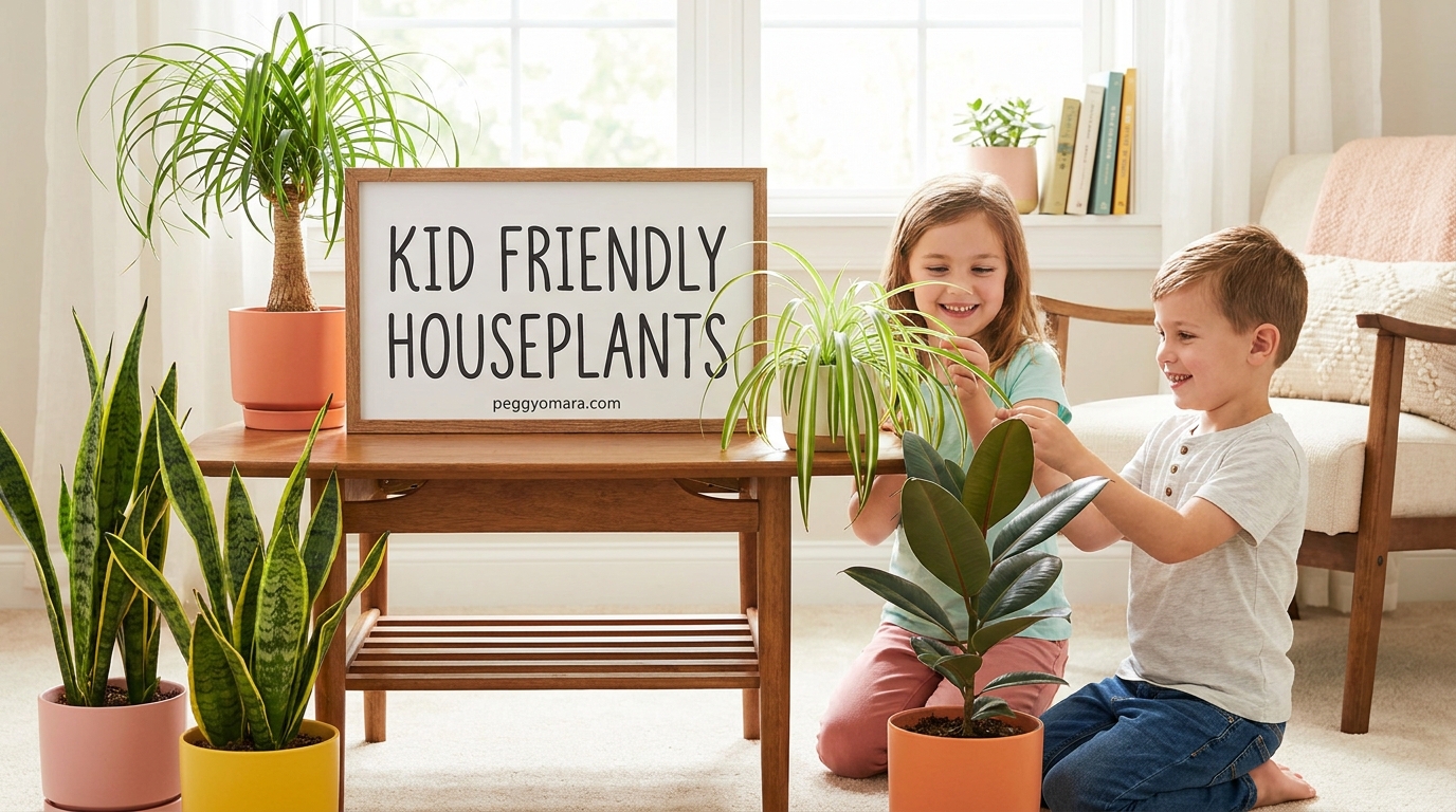 Kid Friendly Houseplants