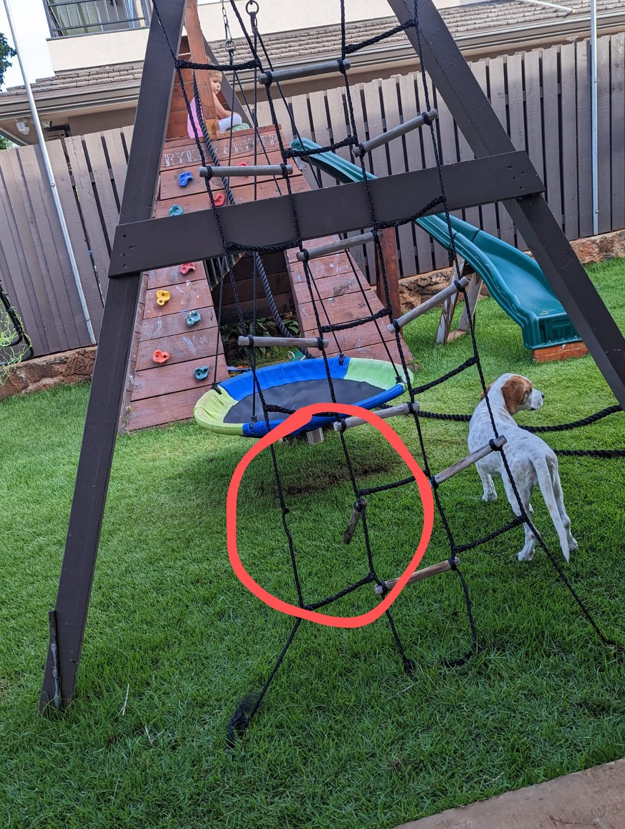 Swing-N-Slide WS 4481 Climbing Cargo Net for Kids Outdoor Play Sets, Jungle Gyms, SwingSets & Ninja Warrior Style Obstacle Courses customer photo 2