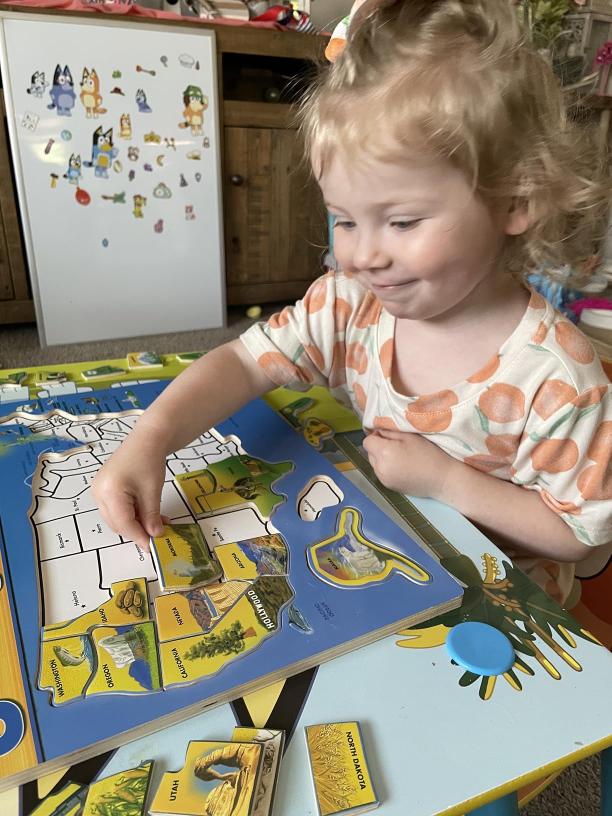 Melissa & Doug USA Map Wooden Puzzle (45 pcs) customer photo 2
