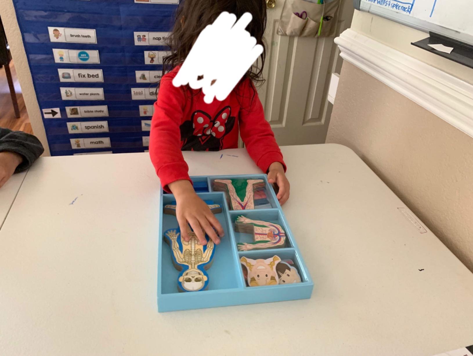 Melissa & Doug Magnetic Human Body Anatomy Play Set with 24 Magnetic Pieces and Storage Tray customer photo 1