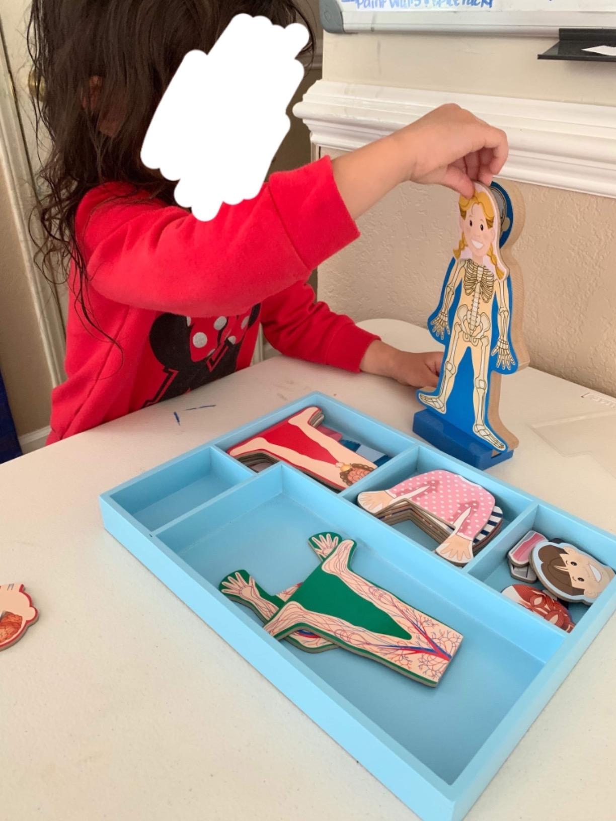 Melissa & Doug Magnetic Human Body Anatomy Play Set with 24 Magnetic Pieces and Storage Tray customer photo 2