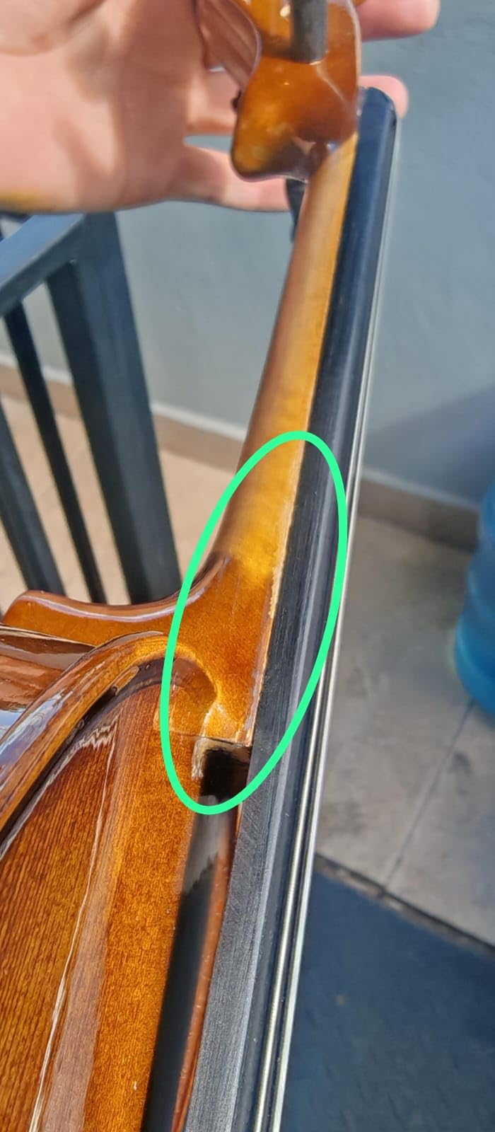 Cremona SV-175 Premier Student Violin Outfit - 1/2 Size, Hand-Carved Spruce & Maple, Ebony Fittings, US-Made Prelude Strings customer photo 1